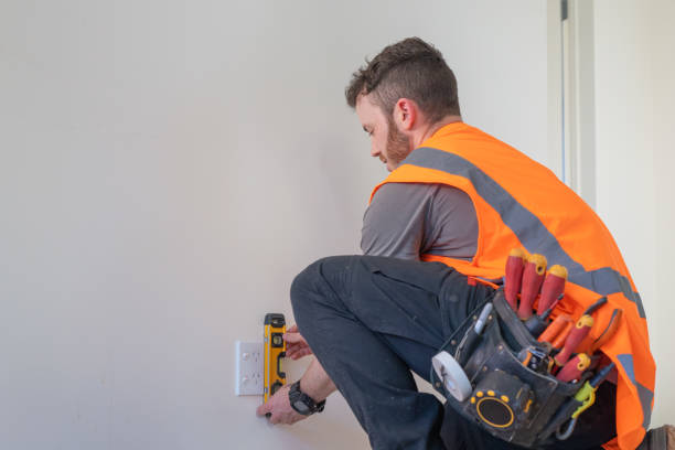 Best Electric Panel Repair  in Cooperstown, NY